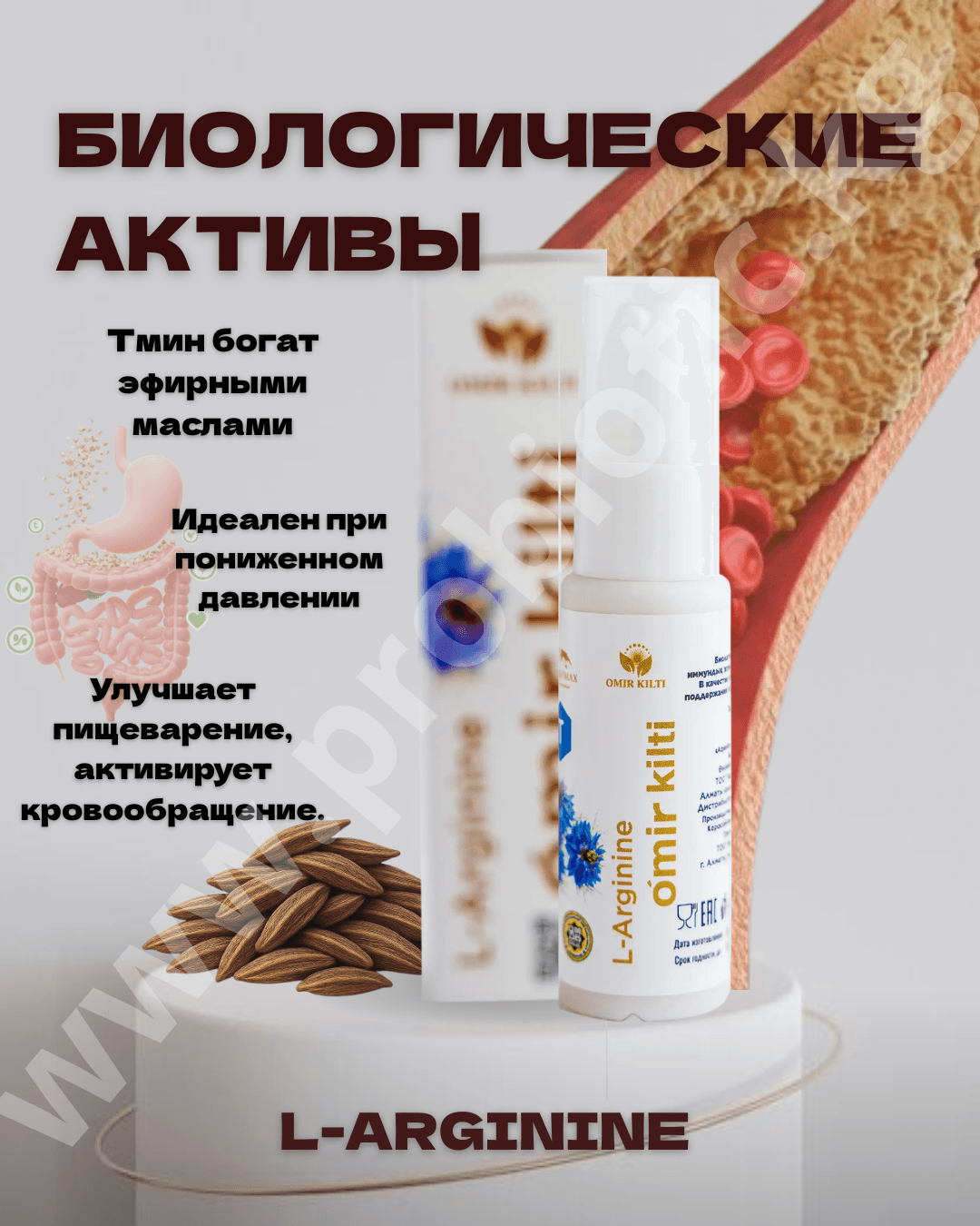 L-Аргинин — Гвоздика