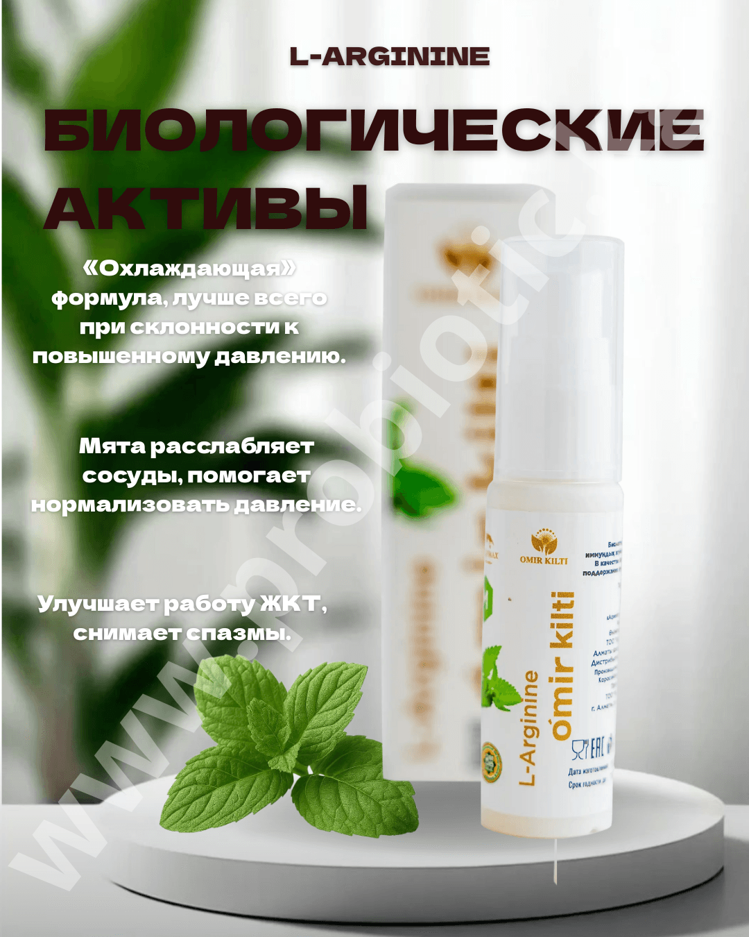 L-Аргинин — Мята